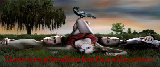 The Vampire Diaries Fan Site