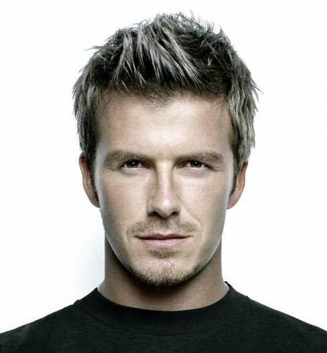 David Beckham Portrait