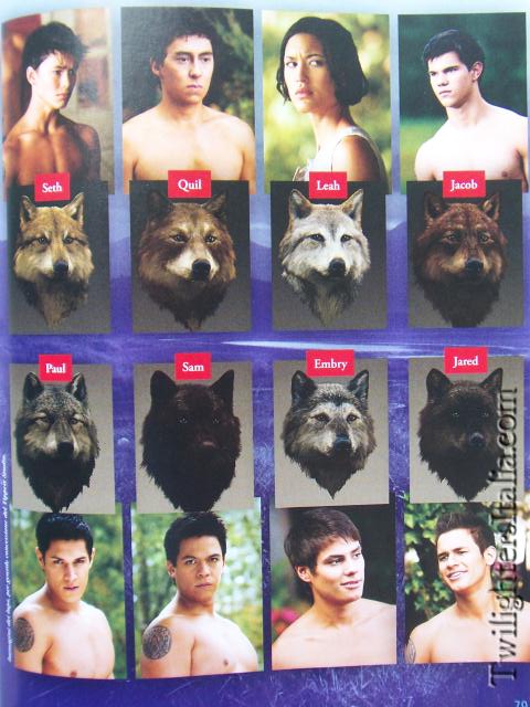 eclipse_wolf_pack